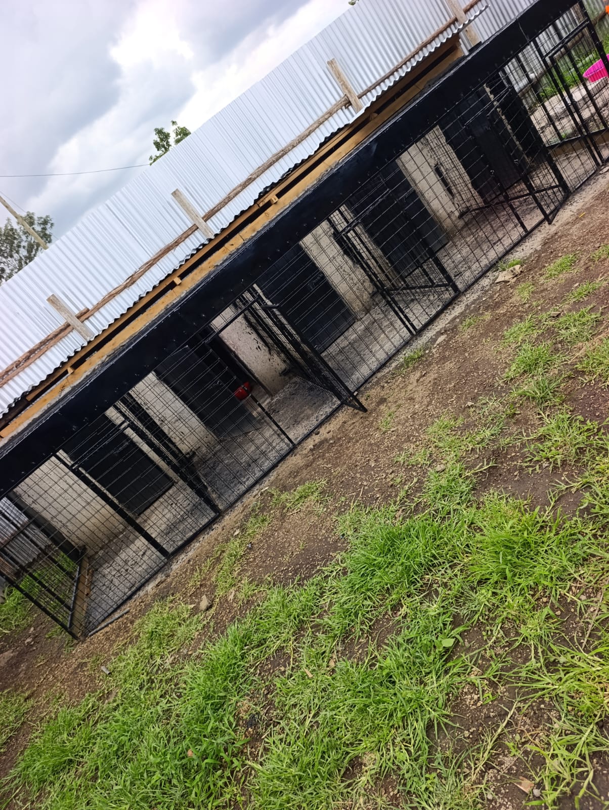 photo 2026 05 02 14 17 52