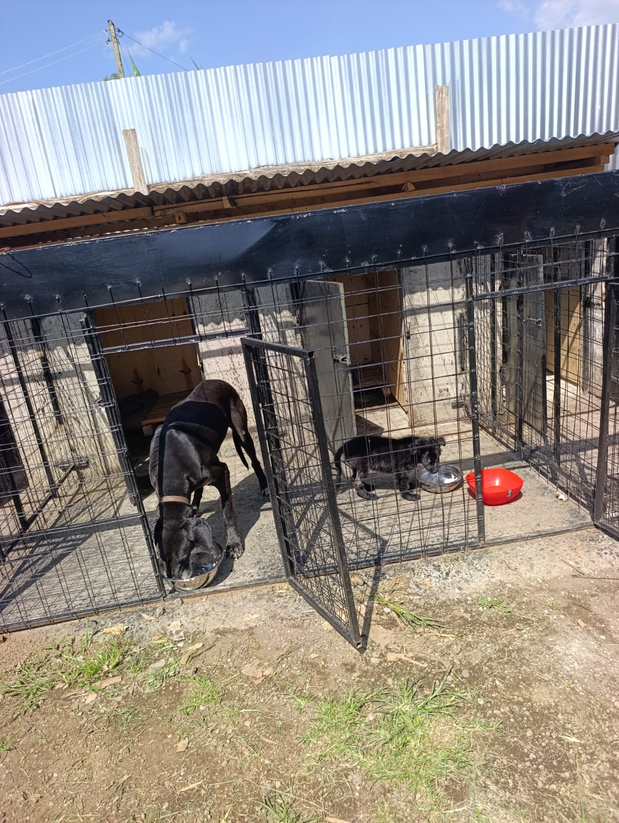 photo 2026 05 19 14 27 56